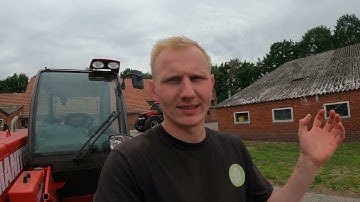 Untersaat im Mais - ungewollter Versuch, doppelte Saatstärke