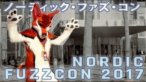 Nordic FuzzCon 2017 - Microdocumentary/Music Video