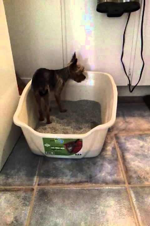 Waking up to Jackson. Our daily routine