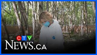 Lab examining death decomposition coming to Kingsville?