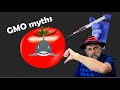 The truth about gmos that every gardener should know