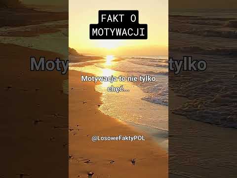 Motywacja: Nie Tylko