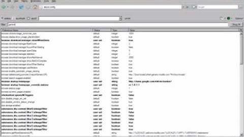 Hacking mega upload.flv