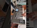 Playing On Korg Pa3x Instructor Babis K