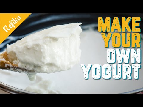 Video: Memasak Yogurt Dalam Pembuat Yogurt - Petua Berguna