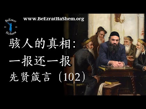 可怕的真实 测量 vs 测量3 - 穆萨尔 父辈箴言