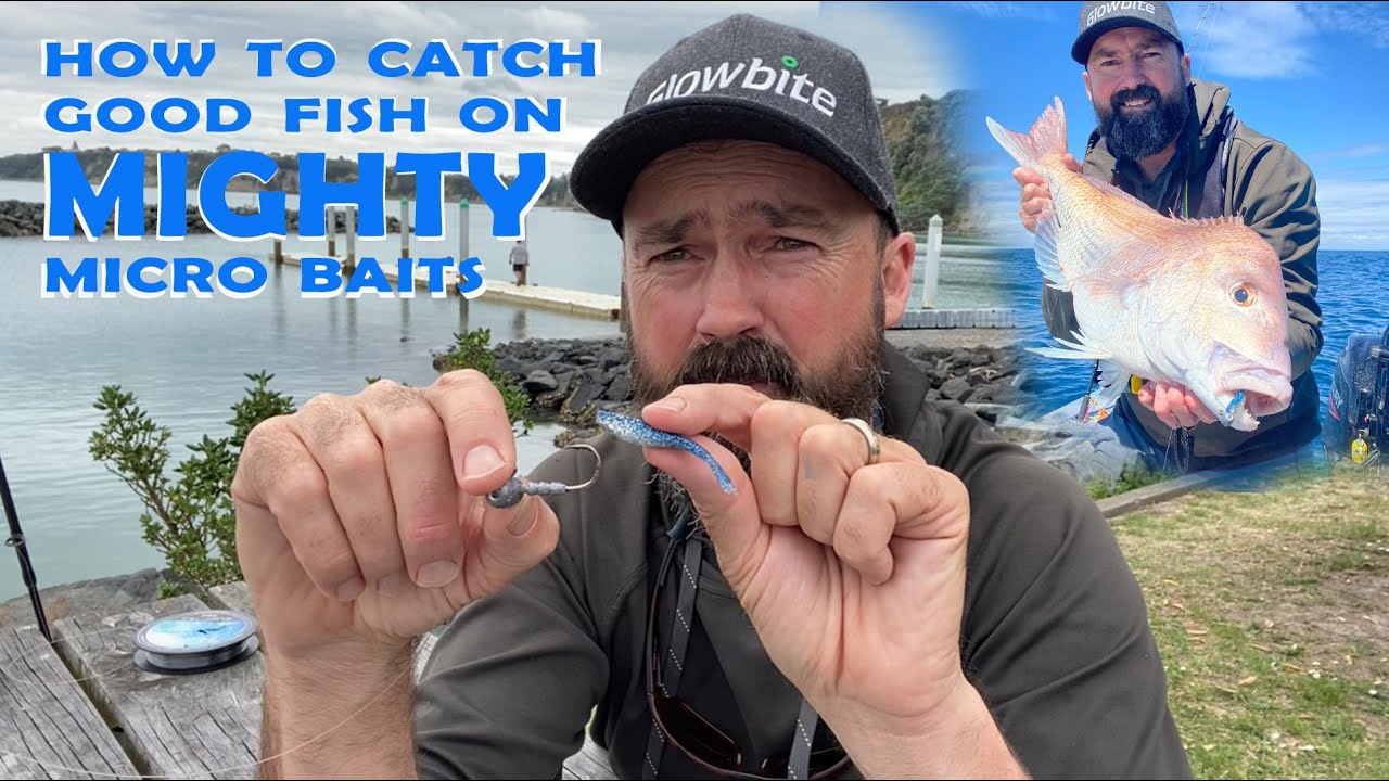 How to catch good fish with Micro Baits 