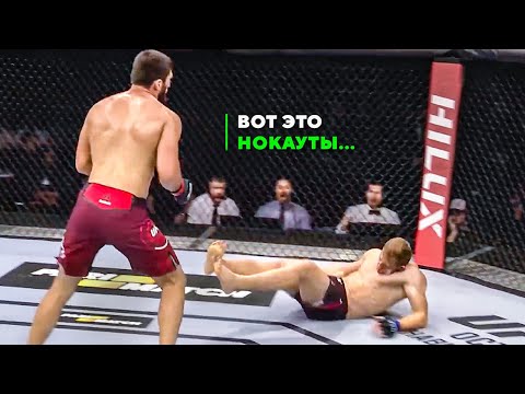 Настоящий Чемпион UFC! Магомед Анкалаев - Лучшие Нокауты