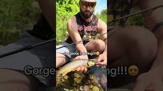 Creek Fishing 🎣, New Jersey for wild Brown Trout using rapala elite countdown jerk bait!!! #trout
