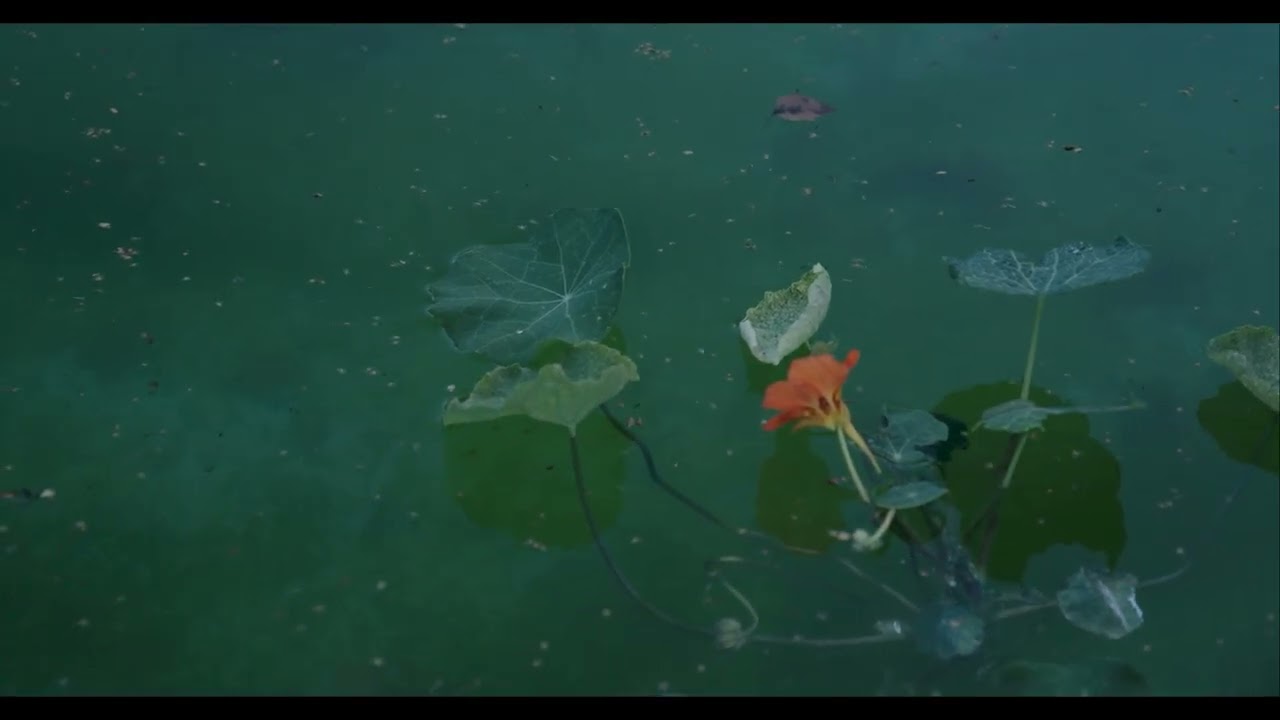 Johanna Mechen talks about her work ‘Last Skye Boat Song’