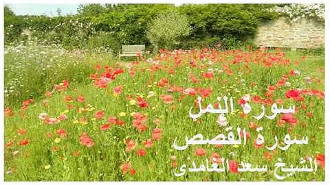 سورة النمل -- سورة القصص --- الشيخ سعد الغامدى
