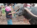 غرائب اسواق الهند كل شي ماشي غرائب اسواق الهند كل شي ماشي