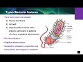 Nur51303 ch05 infectious disease advanced pathophysiology