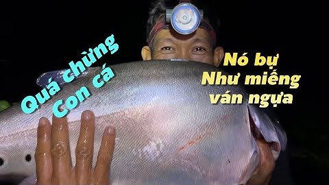 Trải Nghiệm Cùng Anh Vạn Nguyễn Câu Cá Thác Lác Trúng Toàn Cá Bự | Cldv