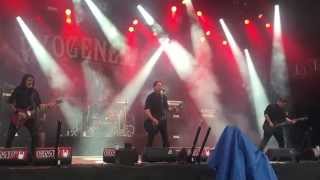 Pyogenesis Every Single Day Summerbreeze 2015