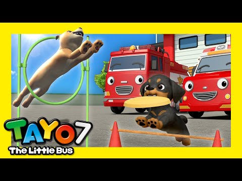 ちびっこバス タヨ Tayo Japanese はたらく車 - YouTube