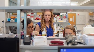 Research Spotlight: Biomedical Engineering