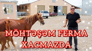 FERMA SATILIR XAÇMAZDA 2.600.000 ÇOX BƏYƏNDİM ☎️070 858 31 44