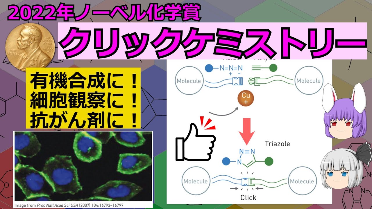 この世で最も役立つワンクリック!?ノーベル化学賞2022:クリックケミストリー(余談だらけのゆっくり化学解説99)