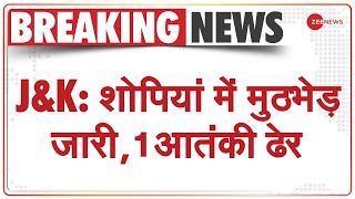 Jammu-Kashmir: Shopian में Security Forces और Terrorists के बीच Encounter, 1 आतंकी मारा गया | News