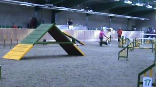 Java winning Combined 1-3 agility at Barking Mad with Amy