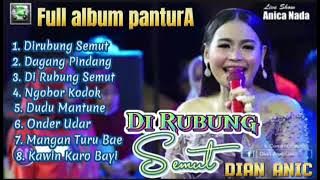 Dian Anic - Dirubung Semut, Dagang Pindang || Full Album Dian Anic #diananic #dirubungsemut