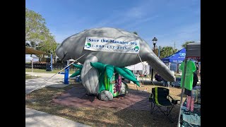 How can people help manatees?