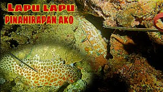 ep311.dalwang Lapu Lapu pinahirapan ako night spearfishing Philippines.