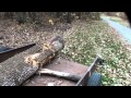 Recovering Logs with a Winch for Lumber - Full Details Recovering Logs with a Winch for Lumber - Full Details