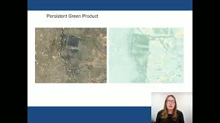 Measuring ground cover with satellite data: an overview of products