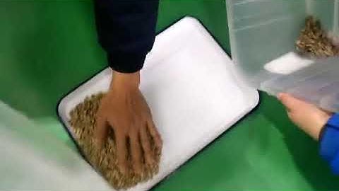 Green Coffee Bean Color Sorter 1-Sorting Machine to Separate Green Coffee Beans