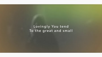 Lou Fellingham - Tapestry | Lyric Video | This Changes Everything