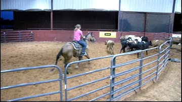 Valley View Ranch - Nip - sorting 2 - LOL