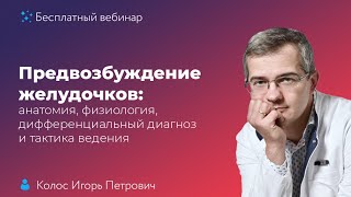 Предвозбуждение желудочков: анатомия, физиология, дифференциальный диагноз и тактика ведения