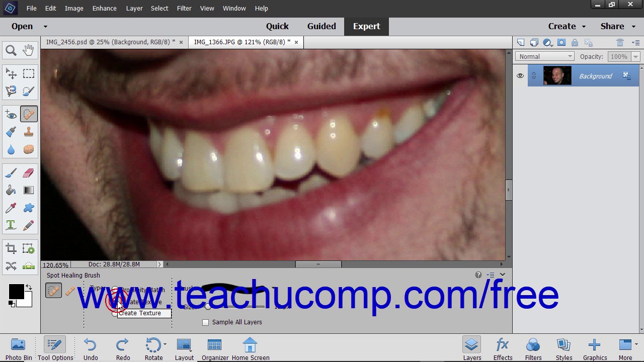 Photoshop Elements 2019 Tutorial The Spot Healing Brush Tool Adobe ...