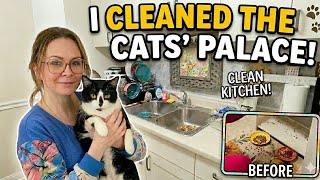 Cozy Home Reset: Cleaning &amp; Prepping for My 3 Cats