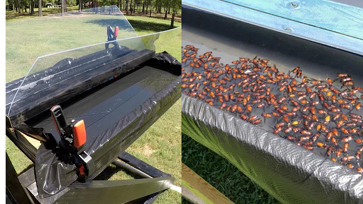Horse Fly Trap / How Does It Work