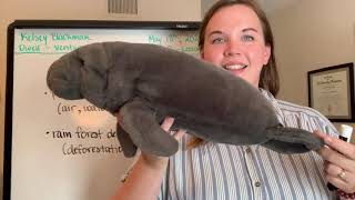 ESL 7 1 Kelsey Dwell Ventures 4   20200518   part 1