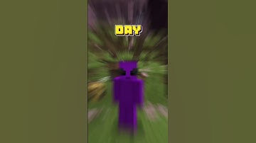 Day 48: Building a Minecraft House One Block a Day