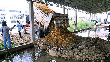 Interesting project to add soil to prevent flooding by Dozer MINI push soil for building market