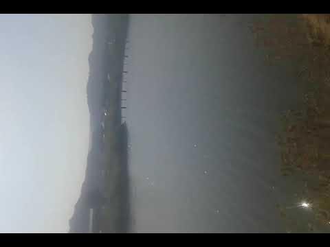 Lenkaran separadi YouTube