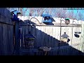 Bird Feeder Cam - Oklahoma