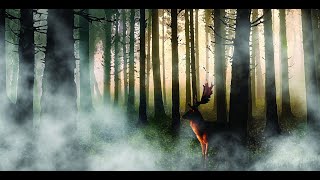 KYLFINGAR - Az Öreg Tölgy (OFFICIAL MUSIC VIDEO)