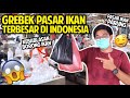 GREBEK PASAR IKAN TERBESAR DI INDONESIA! PASAR IKAN PARUNG! BORONG SEMUA IKAN YANG ADA DISINI!