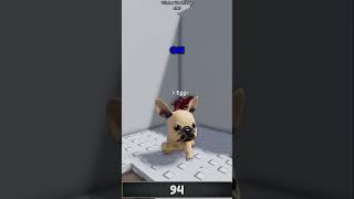 Download Lagu THE PUPPY IS SO GROSS💩 MP3 Download Lagu THE PUPPY IS SO GROSS💩 MP3