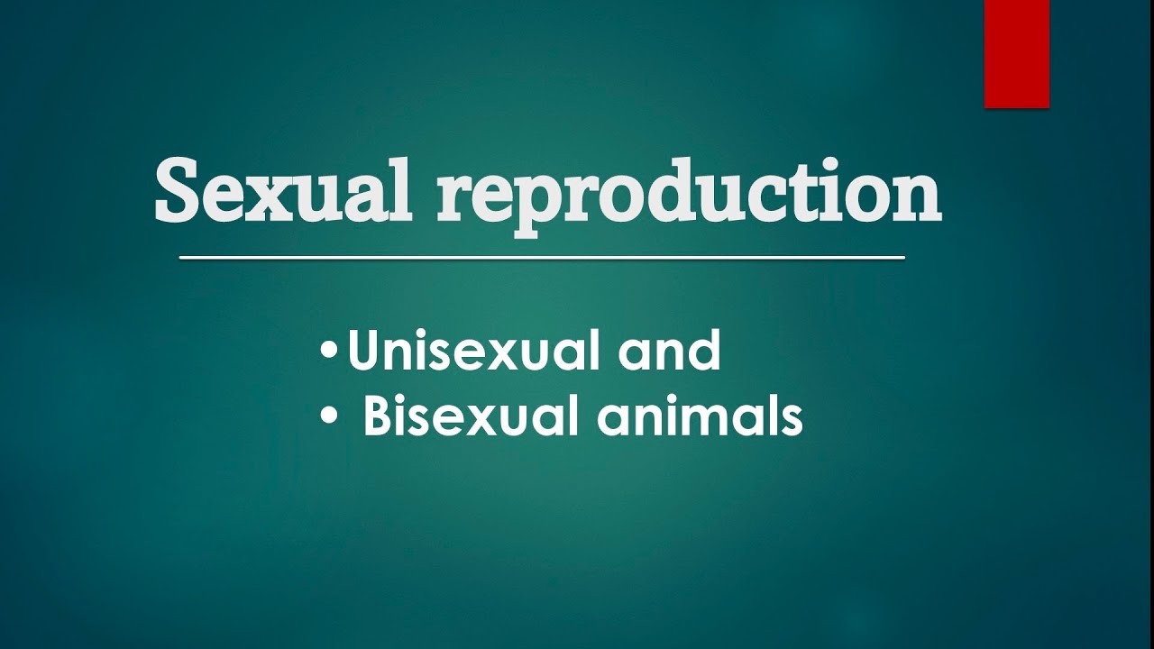 sexual reproduction || unisexual Animals|| Bisexual animals - YouTube