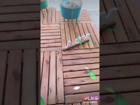 camino de madera - YouTube