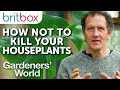 How to Not Kill Your Houseplants | Top Tops | Gardeners' World