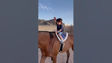 فرحته اذا راح للإسطبل 