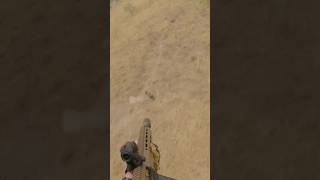 Big lone boar one tapped. #conservation #hunting #aerialshooting